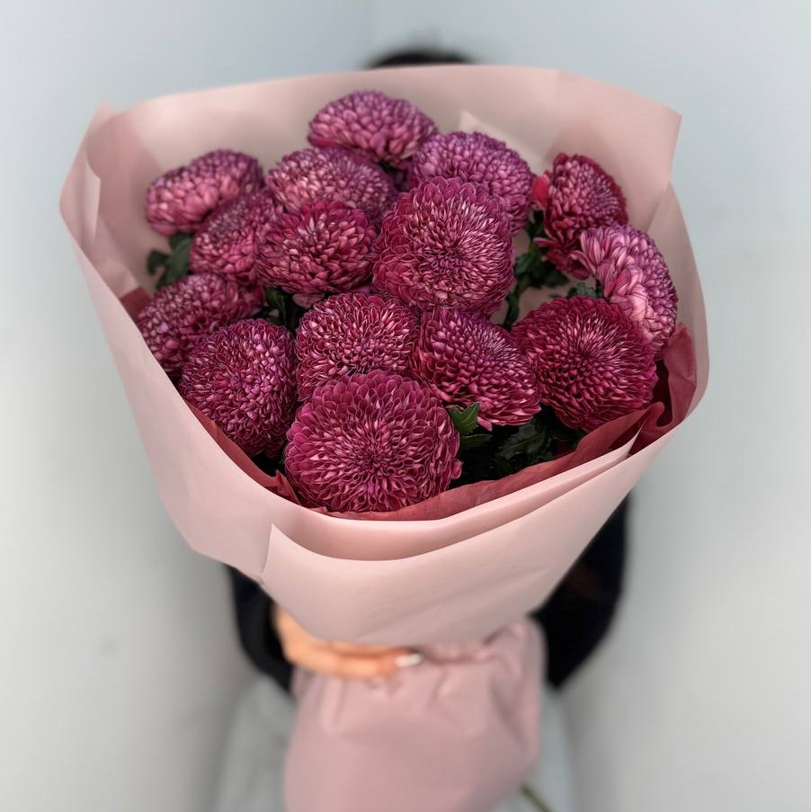 15 пушистых фиолетовых одноголовых хризантем