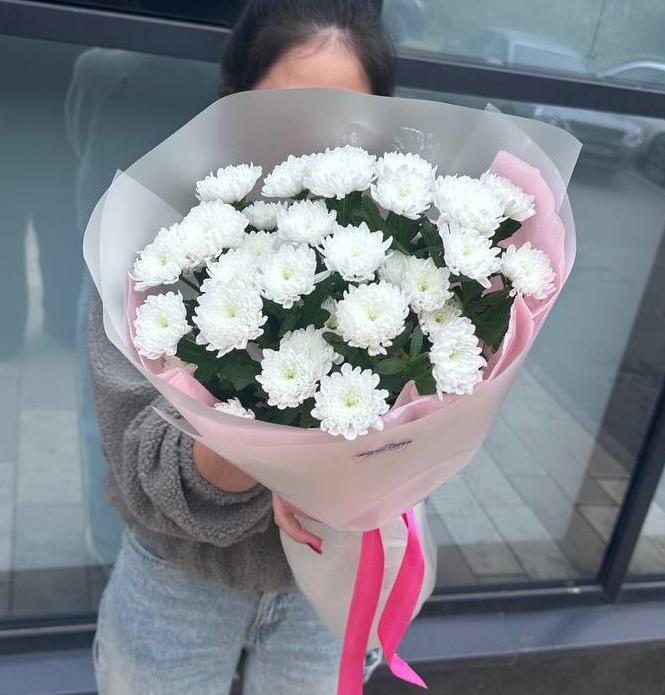 Комплимент из 7 хризантем