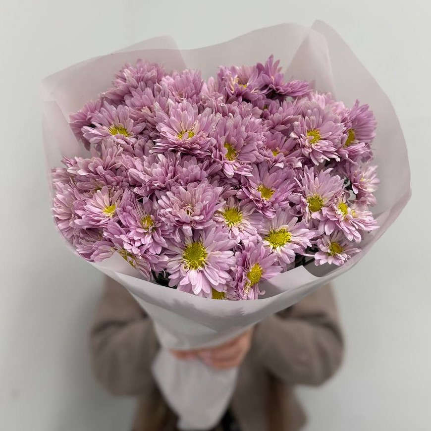 15 сиреневых хризантем в оформлении