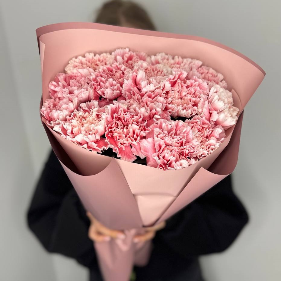 15 бело-розовых диантусов