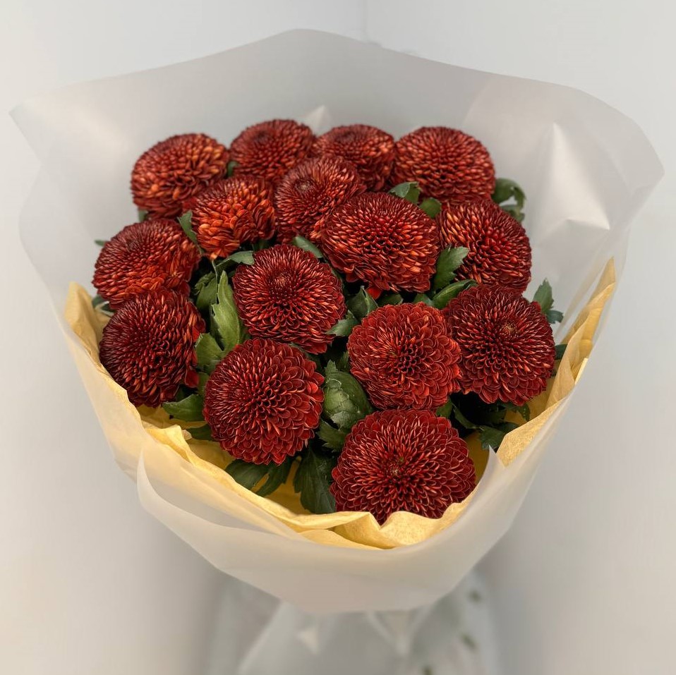 15 пушистых терракотовых одноголовых хризантем