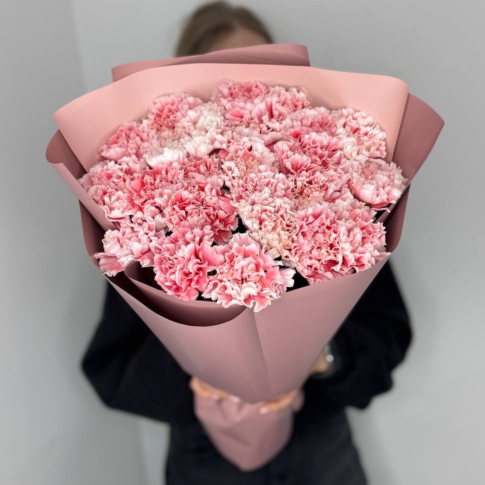 25 бело-розовых диантусов