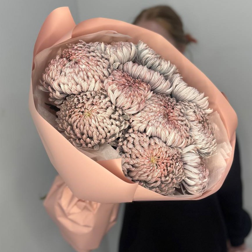 11 хризантем премиум цвета какао