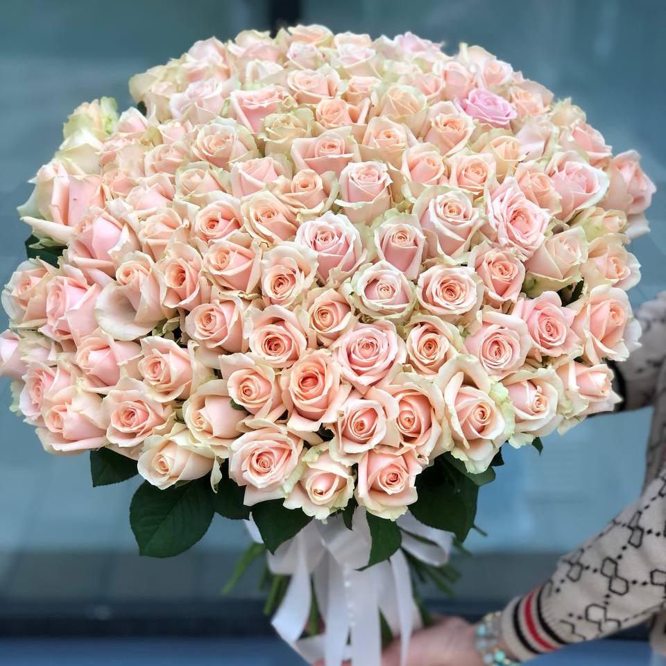 101 кремовая роза 50/60 см под ленту