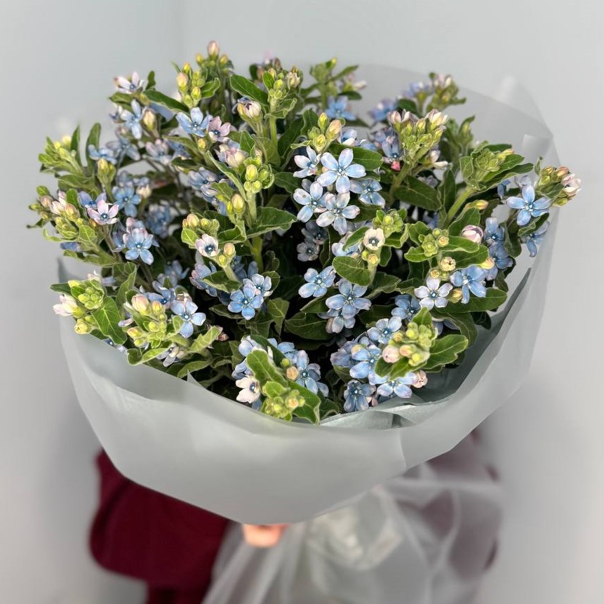 Букет из 25 голубых твидий