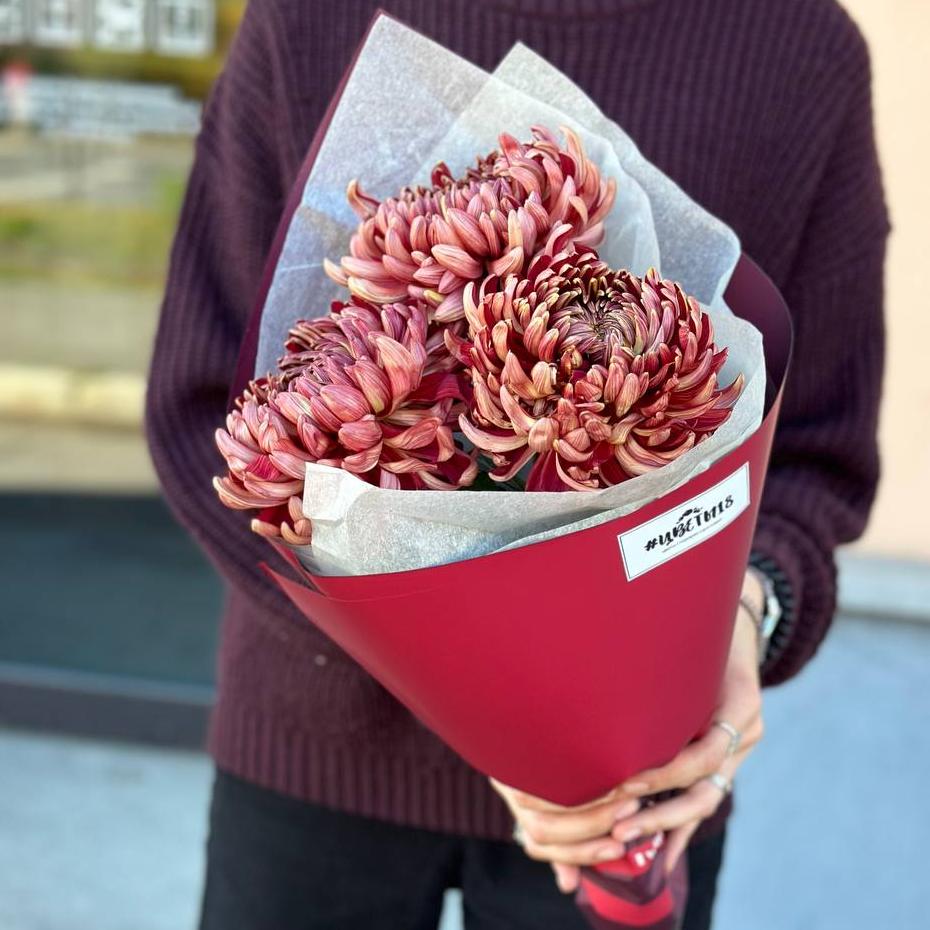 Букет из 3 терракотовых одноголовых хризантем