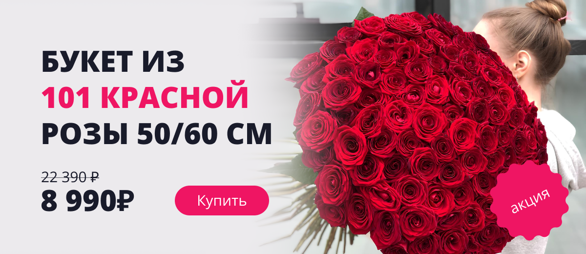 101 красная роза 50/60 см 