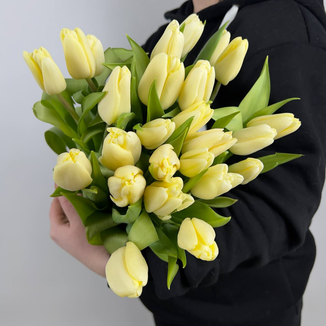 Букет из 25 кремовых тюльпанов под ленту