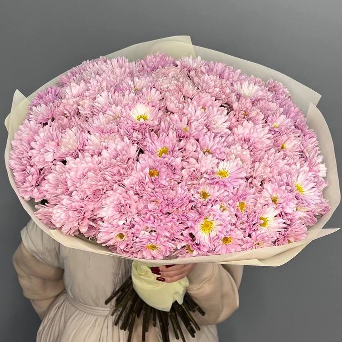 51 розовая хризантема в оформлении