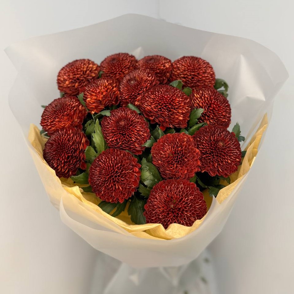 15 пушистых терракотовых одноголовых хризантем