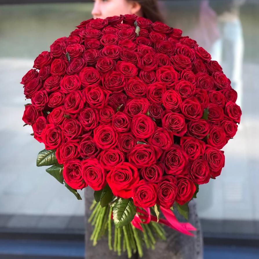101 красная роза 70/80 см под ленту