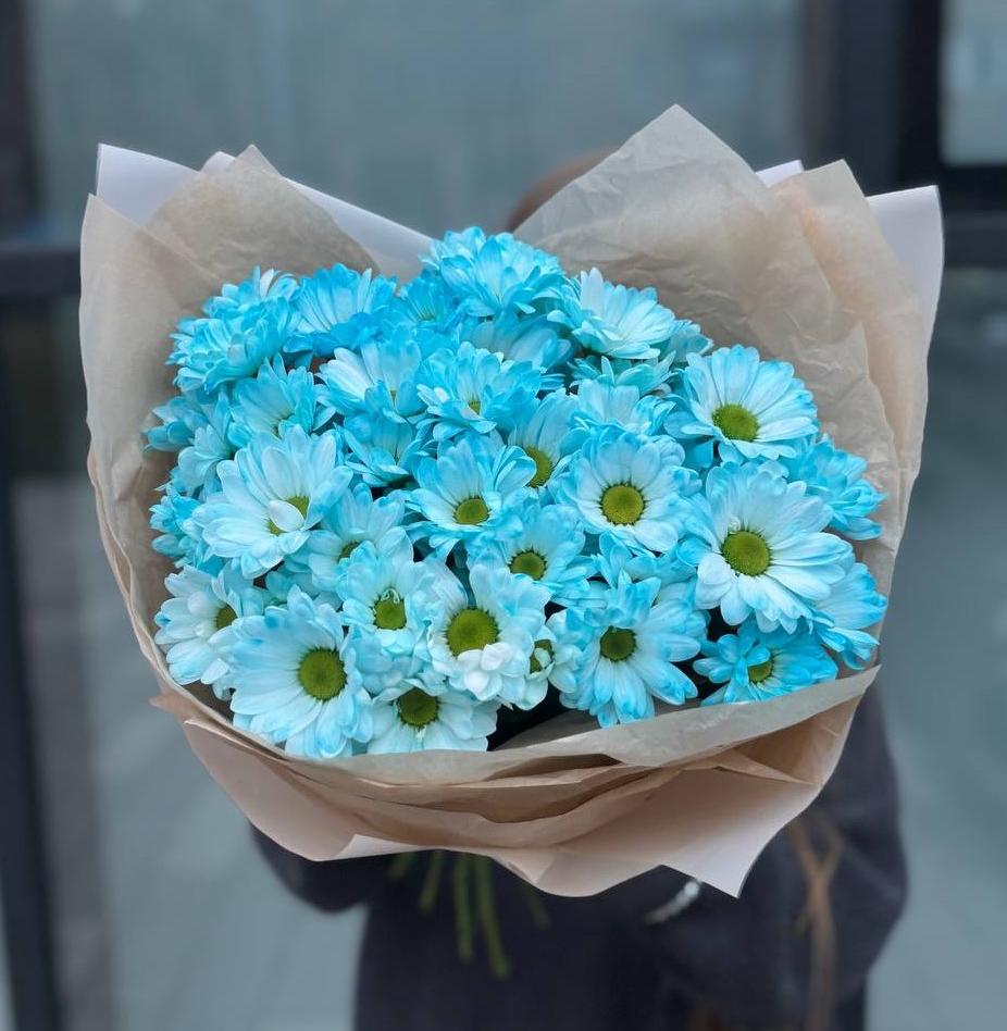 Букет из 15 голубых хризантем