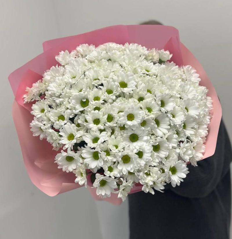 Акция! 51 белая ромашковая хризантема