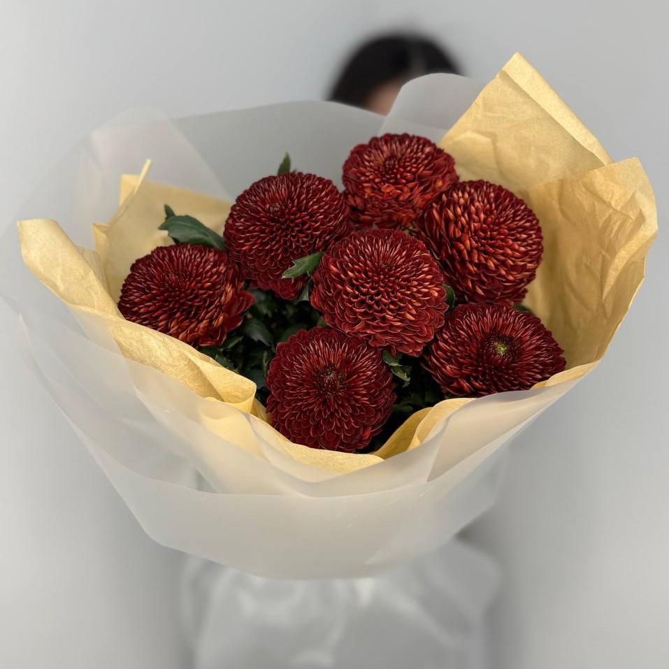 7 пушистых терракотовых одноголовых хризантем