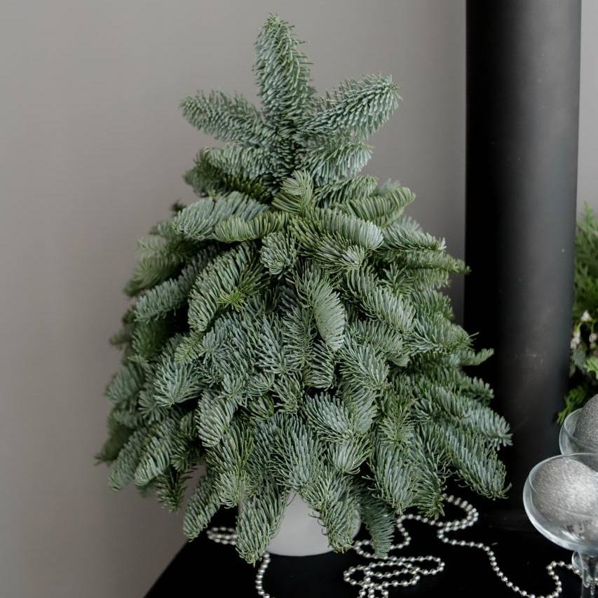 Композиция "Елочка"