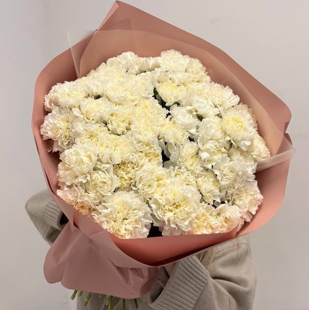 51 белый диантус