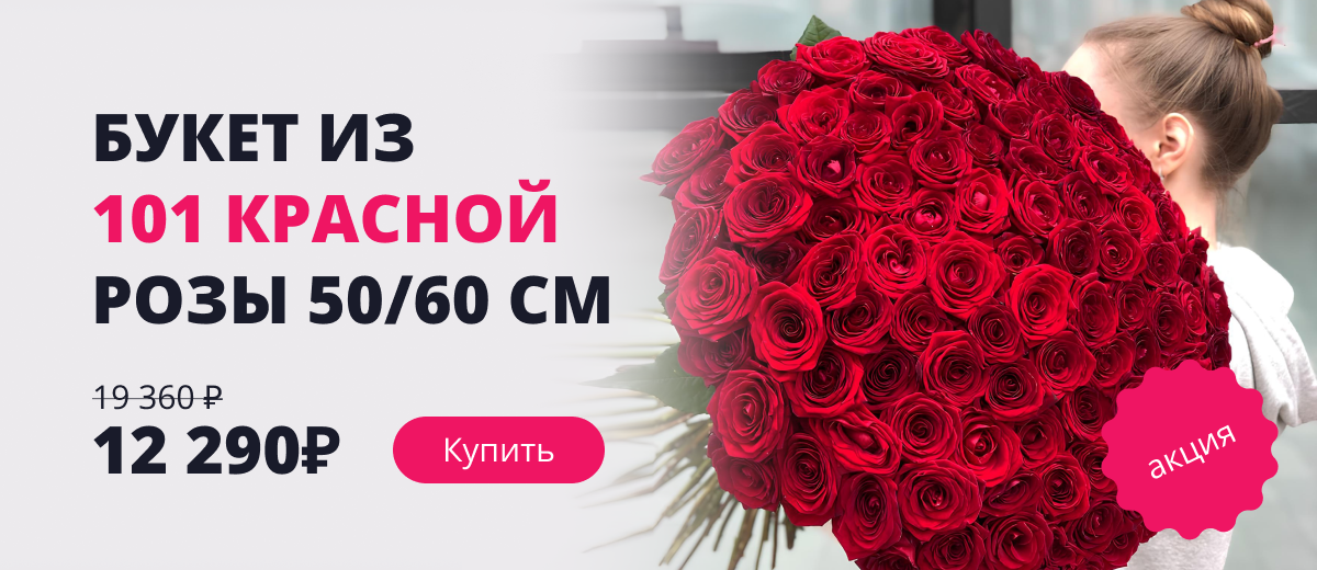 101 красная роза 50/60 см 