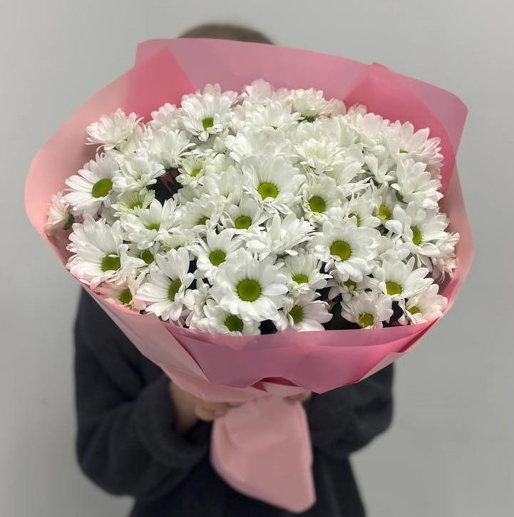 Акция! 25 белых ромашковых хризантем