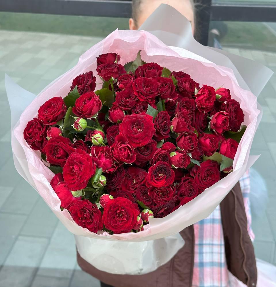 15 красных кустовых пионовидных роз 40/50 см