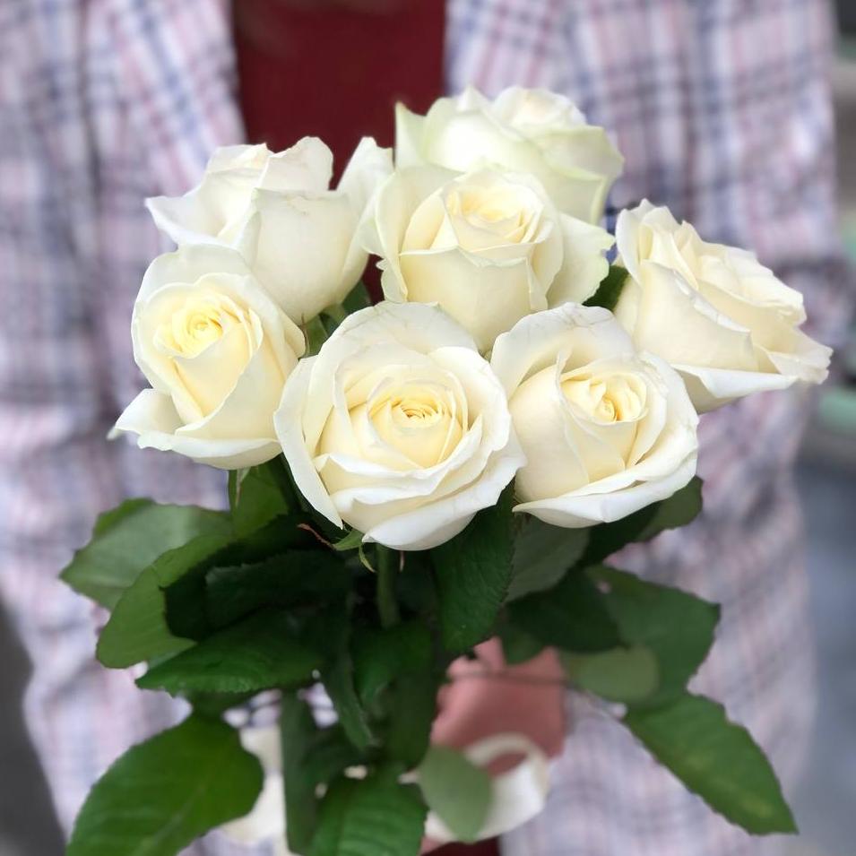 Букет из 7 белых роз 50/60 см под ленту