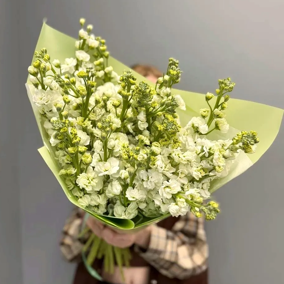 Букет "25 белых маттиол"