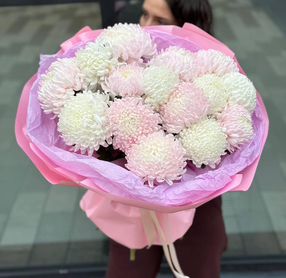 Букет из 15 белых и розовых хризантем премиум